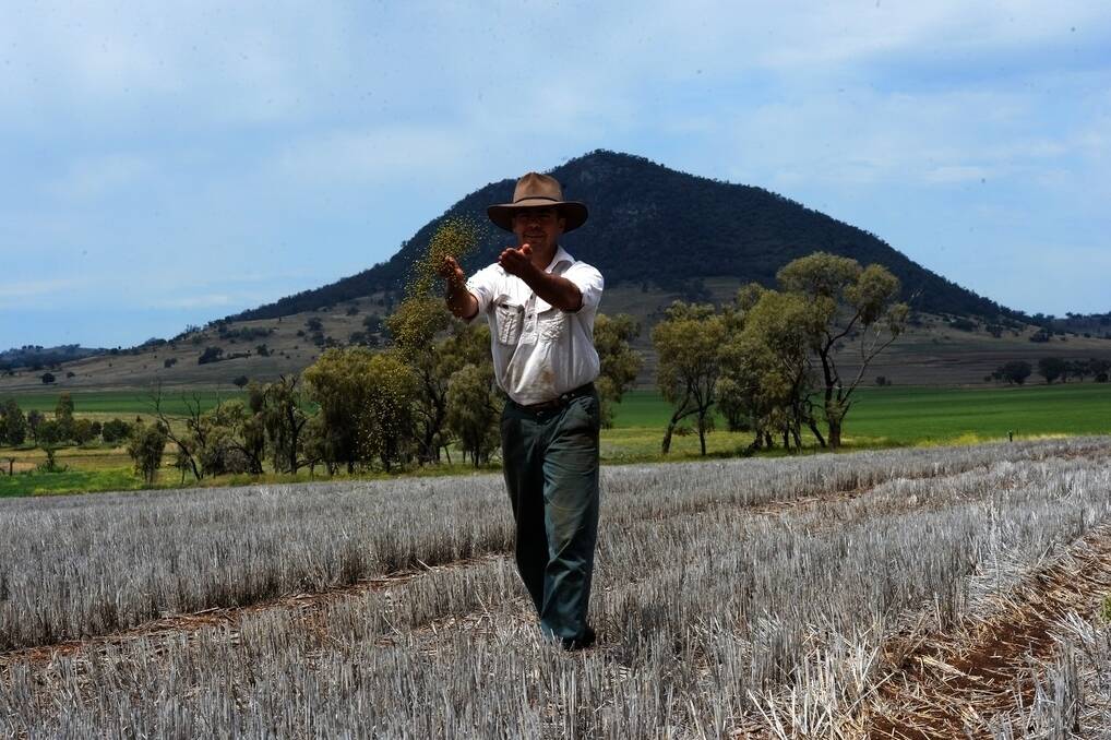 Ross Durhan "Nombi", Mullaley gets ready to sow Mungbeans.
