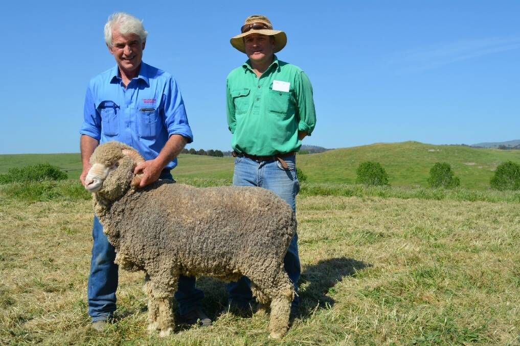 Frank Kaveney, Tallawong Merinos and Ed Storey, “Werong”, Yass purchaser of one of the $3000 top priced rams.  