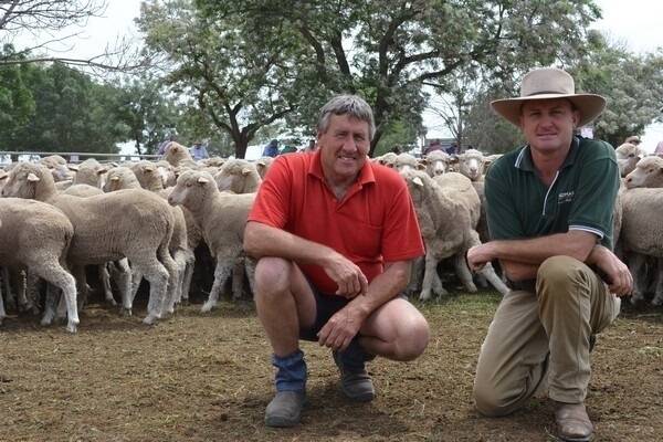 Trevor McPherson, “Omaha”, Ganmain, pictured with livestock agent James Croker, Landmark Wagga Wagga, secured 407 May/June 2013-drop Merino ewes for $142.