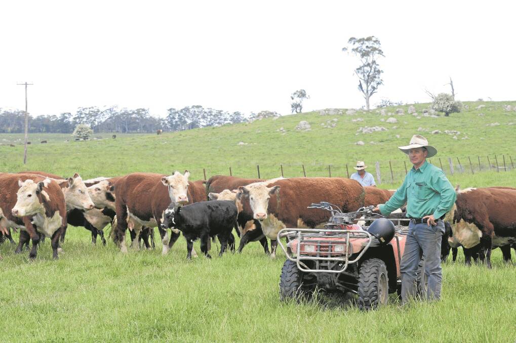 Braidwood property manager Marcus Lyons, “Glendarual”, has geared production to have as many saleable stock at hand as soon as prices improve.