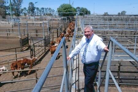 Dubbo City Council director corporate development Ken Rogers at the Dubbo Regional Livestock Market complex where the cattle section will be improved with new selling pens, weighbridge and loading ramps.