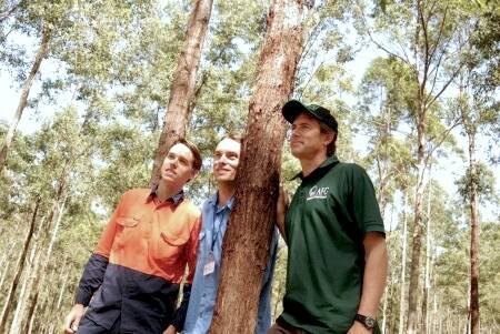 Mr Wright is pictured right with forest worker Lewis King and “Cabbage Palm” operations manager Reuben King.