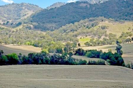 LEFT: The 185ha “Miranee” at Scone offers scope for both cattle grazing and equine pursuits, as well as lucerne production across about 10ha.