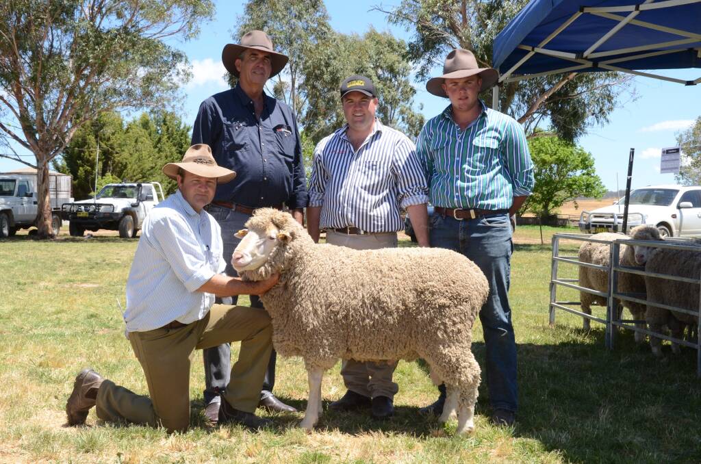 The 18.8 micron $1100 sale-topper of the Lucky Downs Dohne stud ram sale at Lewis Ponds near Orange on Friday held by Jason Southwell, Mullion Creek, while the buyer, Colin McPhee of Cadwallader and Company, Bathurst, looks on with Lucky Downs stud principals Shayne and Bayden White.