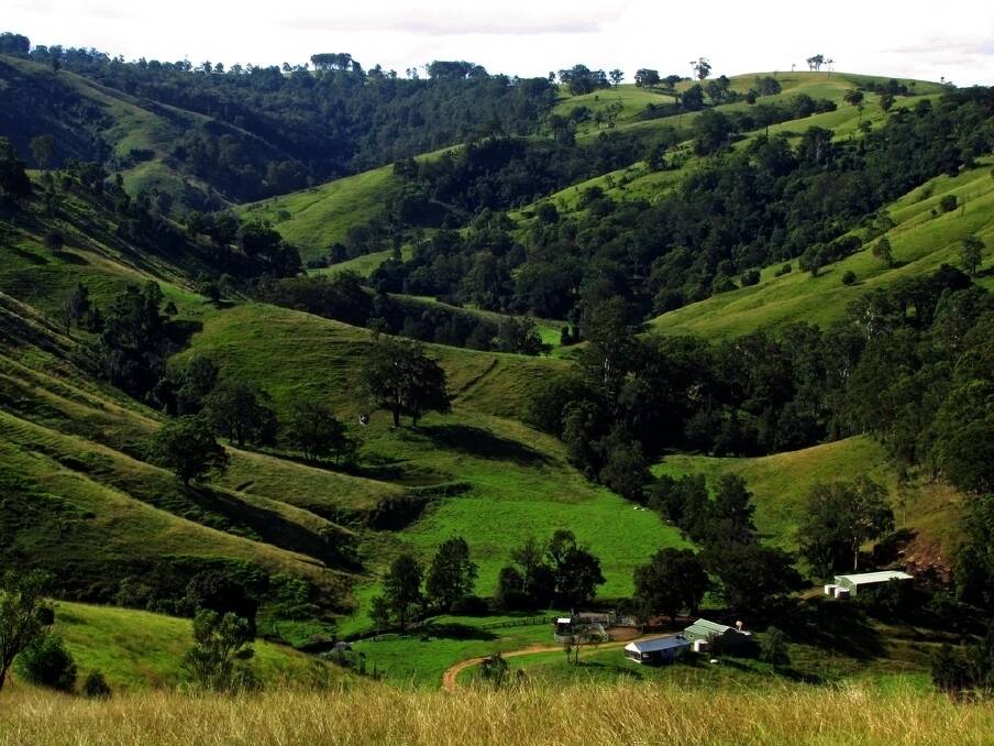 Country on the substantial Dungog property, “The Highlands”, includes a mix of plateau grazing, as well as hills and valley floors.