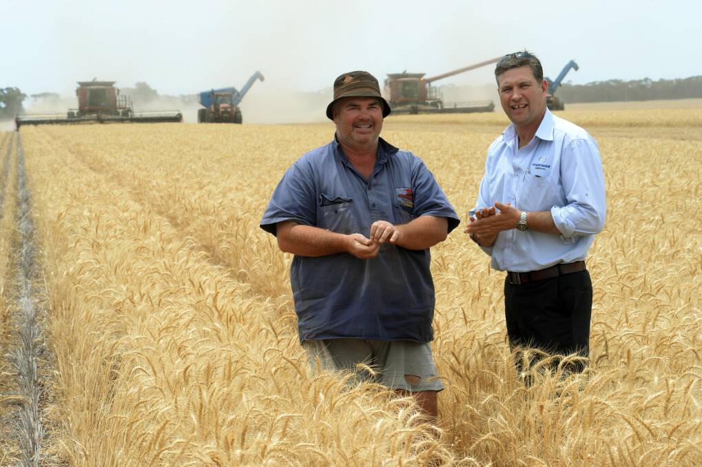 LOWER than expected yield has meant wheat harvest wrapped up early for Barellan farmer Richie Lees “Old Trafford” , pictured with Ray Ellis, Manager Hartwigs, Griffith