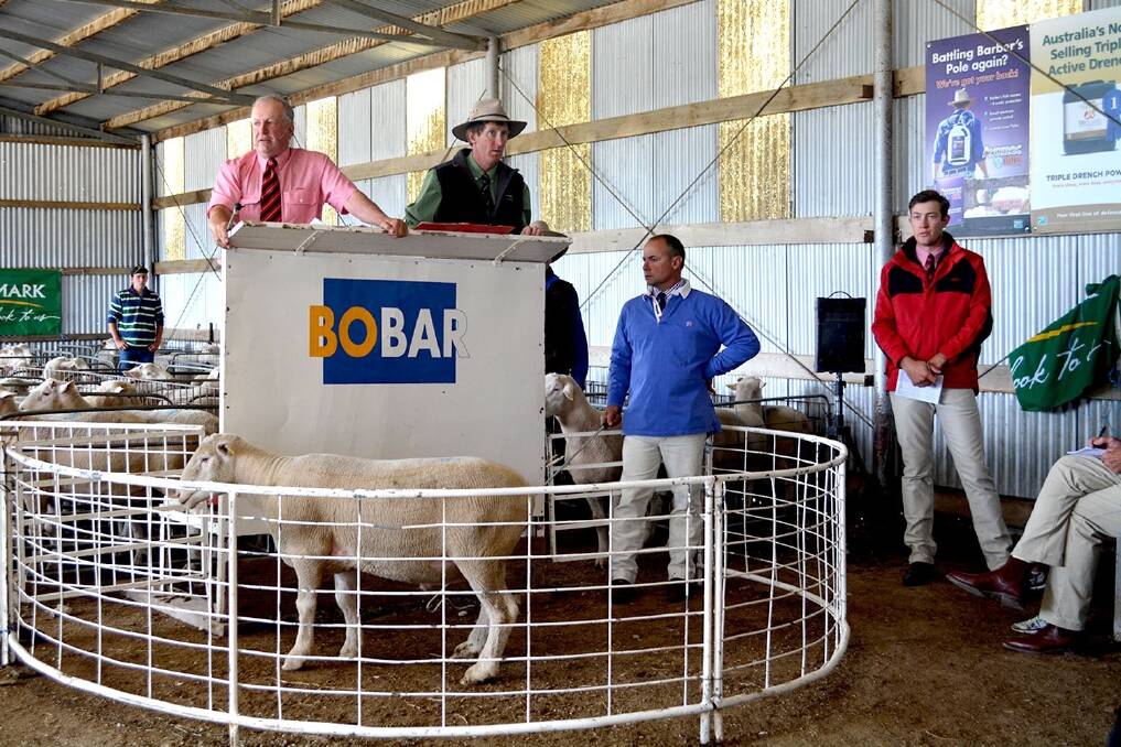 Bobar Poll Dorsets achieved a total clearance of 100 rams to $1900 on Thursday at Braidwood.