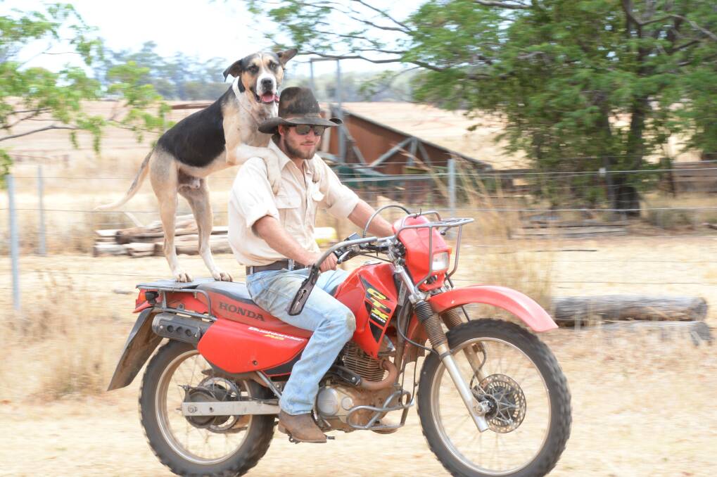 Alex Davies and his best mate Ralph on his family property "Box Ridge", Coonabarabran.