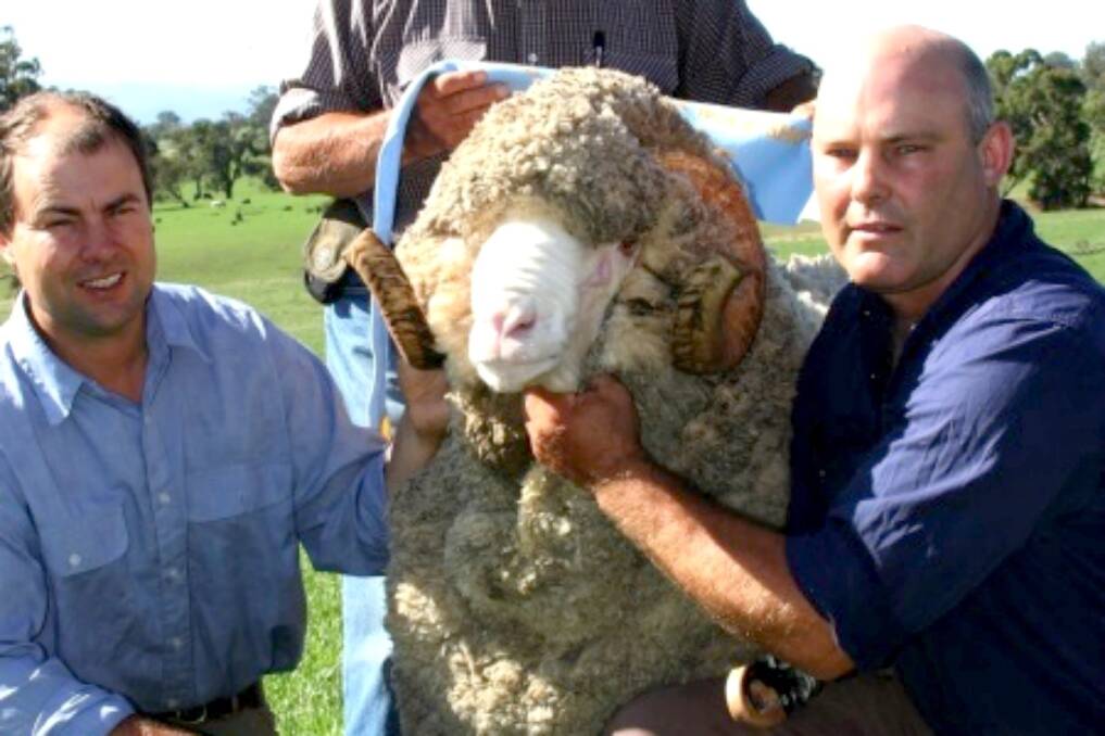 Jock (left) and Hamish McLaren pictured with the $30,000 ram.