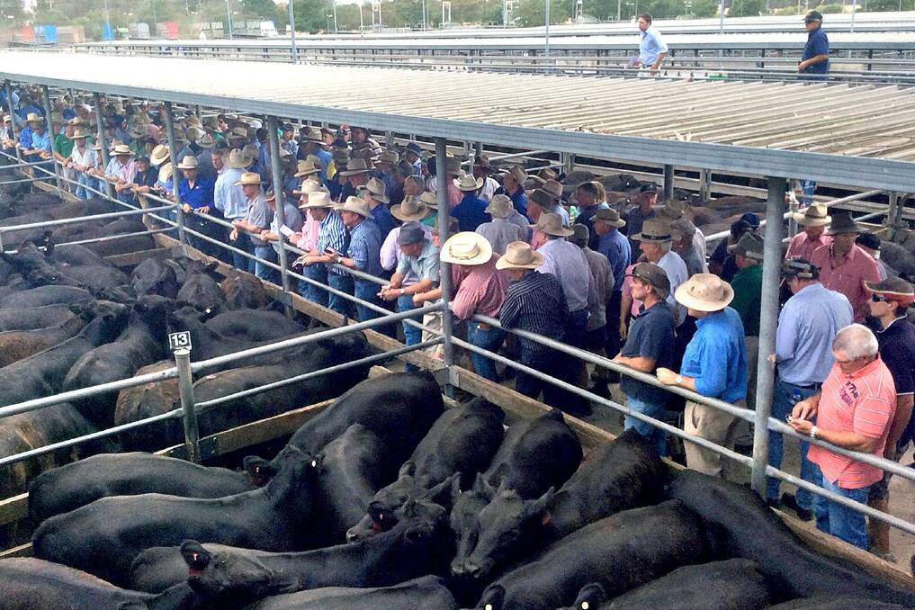 Crowds fuelled strong buying at Wodonga on Thursday.