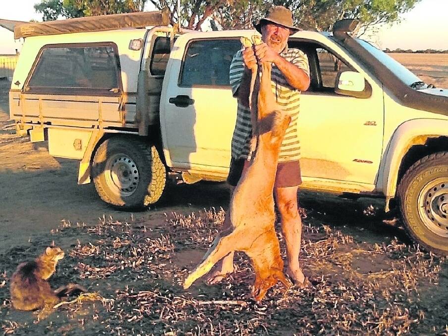 East Maya wheat and sheep farmer Peter Waterhouse displays the purebred male dingo he shot last week after losing 30 sheep in 10 days to wild dogs.