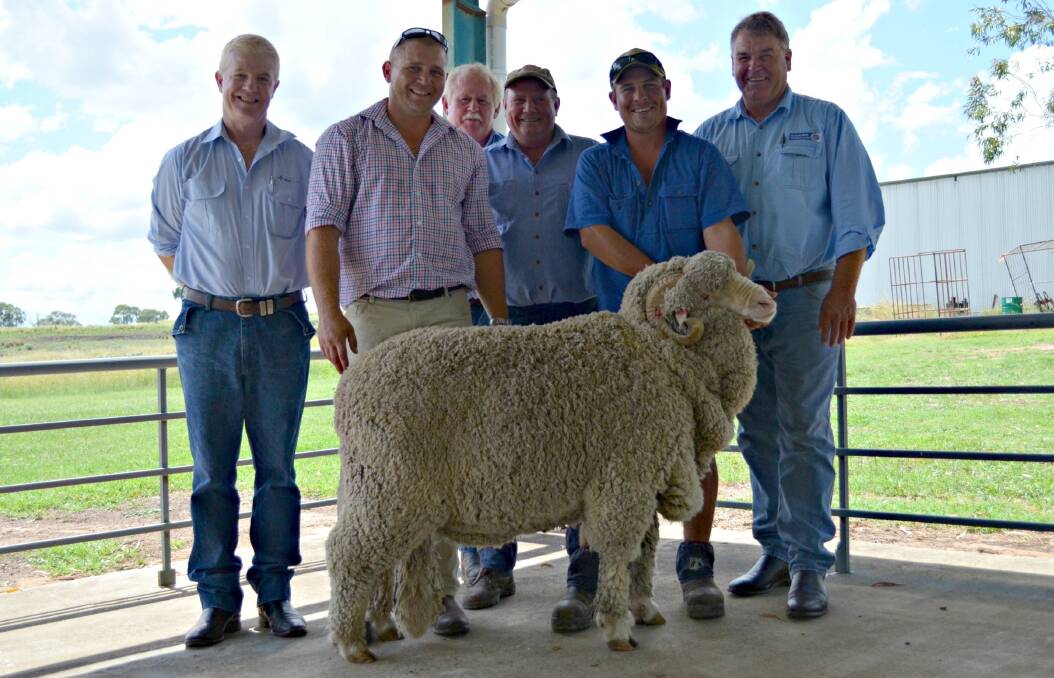 ohn Croake, AWN, Tamworth; Jade Lane and Rodney Kent, Kurrajong Park Merinos, Delungra; John and Phil Taylor, "Ford End" Delungra and Graham Andrews, Shute Bell Badgery Lumby, Armidale with the $2600 ram