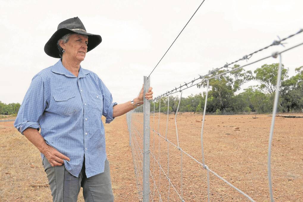 Lynette Dunn, “Bundong”, Coolabah, pictured with expensive new fencing constructed to manage the feral roo population.