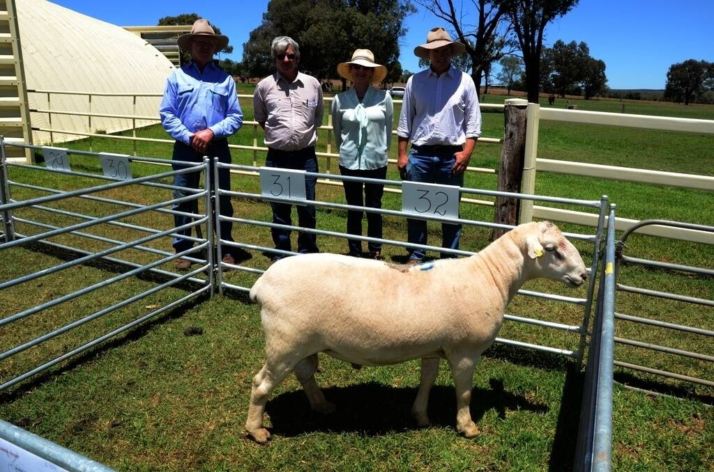 The $1300 sale topper with buyer Rob Laurie, “Brumaxhu”, Nowendoc, (second left) and Munna principals Tom (left) and Jill Powell and son-in-law Tom Dunlop, Coolah.