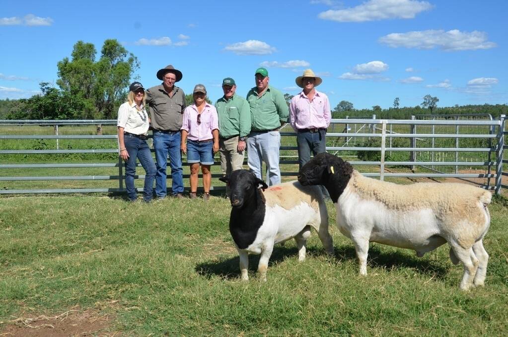 Trish and Philip Palmer," Overnewton Station", Ivanhoe; stud principal Lorroi Kirkby; Landmark agents John Settree and David East and stud principal Justin Kirkby with the two top priced rams. 
