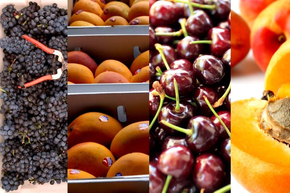 Vietnam ban bruises fruit sector