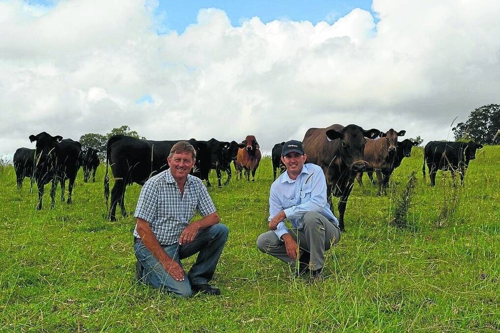 Northern Rivers beef producer Tom Amey and Virbac's Craig Hosking at "Greenmount" Dyraaba, with his Murray Grey-Friesian herd, which are joined to a Brahman bull for replacement heifer production.