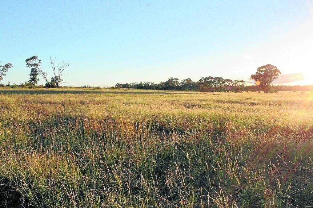 Condobolin district property, “Euligal”, is a mixed farm consisting of 1669ha (4124ac) and under current ownership has run a Merino flock and grown wheat and lupins crops.