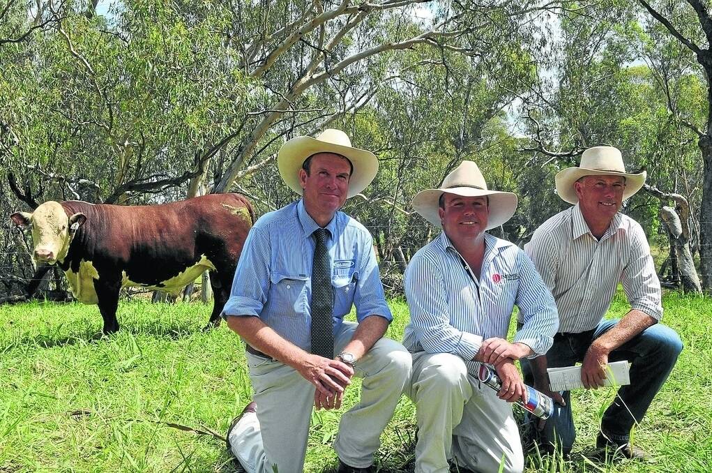 Paul Dooley Pty Ltd auctioneer Paul Dooley, Tamworth, Injemira principal Marc Greening, Wagga Wagga, and co-purchaser of the top-priced lot Steve Reid, Talbalba Herefords, Millmerran, Queensland, pictured with the $32,000 Injemira Anzac.