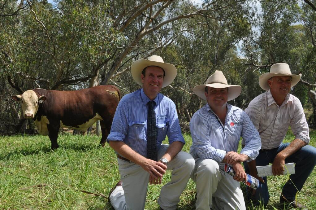 Auctioneer, Paul Dooley, Tamworth, Injemira stud principal Marc Greening and top priced buyer Steve Reid Talbalba Herefords, Millmerran, Qld, who paid $32,000 with Days Whiteface for Injemira Anzac J188.