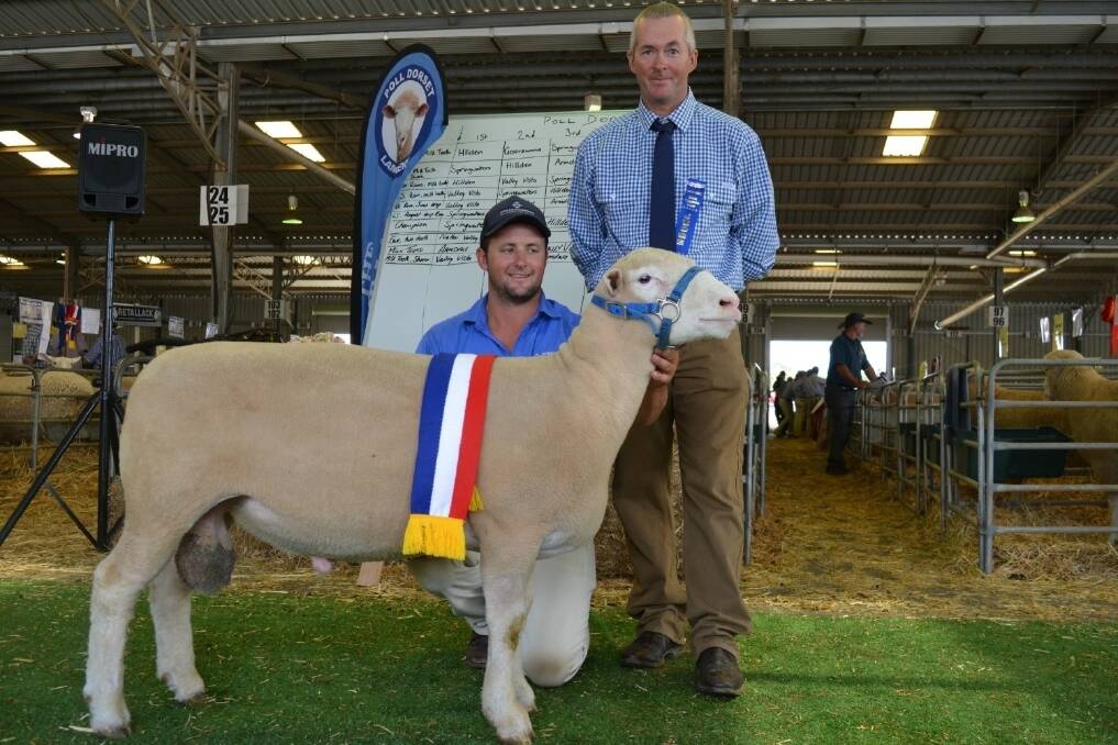 Dane Rowley, Springwaters stud, Boorowa and judge, Greg Hamilton, Canowindra and the champion Poll Dorset ram at the Canberra Royal Show 2015.
