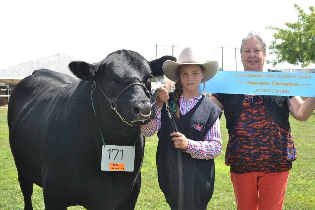 The supreme Angus exhibit, held by Kasey Halliday, and sashed by Gina Sutherland.