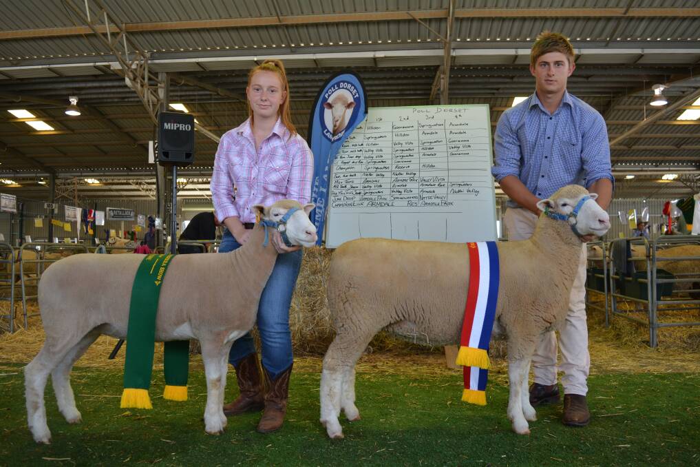 Georgia Armstrong, Armdale Park, Marrar, holding the reserve champion  Poll Dorset ewe and Sam Armstrong, Armdale, Marrar, with the champion Poll Dorset ewe at the Canberra Royal show. 