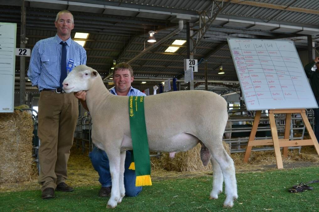 Poll Dorset judge Greg Hamilton, Canowindra and James Frost, Hillden stud, Bannister with the reserve champion Poll Dorset ram. 