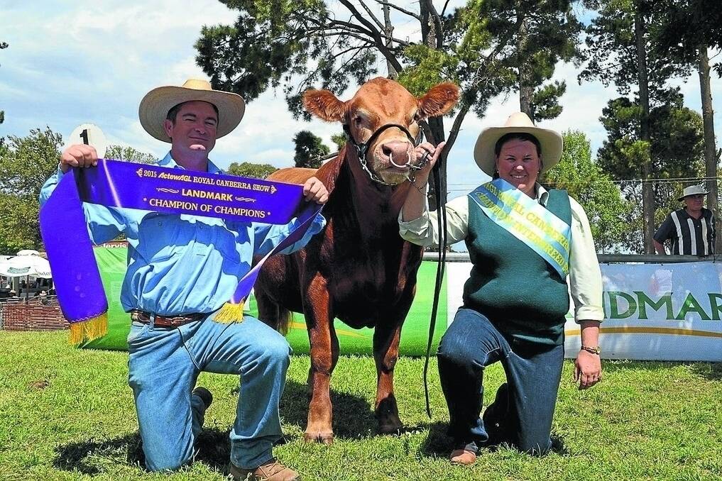 Tony and Charna Starr, Starr Limousins, Thuddungra, with their champion of champions interbreed best exhibit, Birubi Knightime K1.