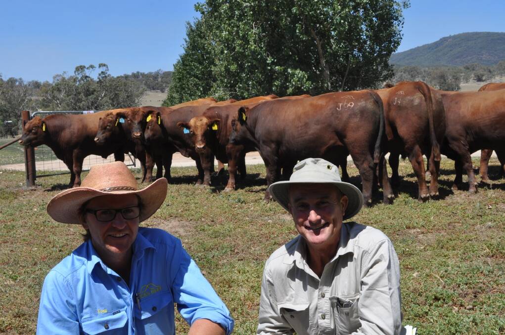 Brad Kerin, "Springlands", Yeoval, paid to $6500 for four composite bulls averaging $5438. Pictured with Tom Hicks, Hicks Beef, Holbrook.