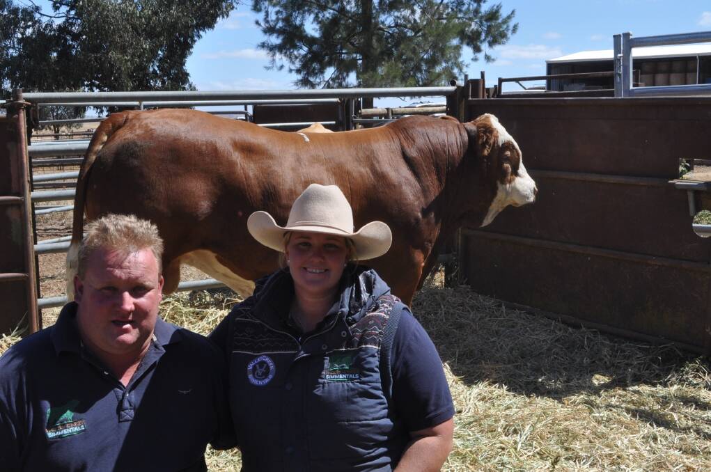 Valley Creek Simmental stud princiapls Stuart Moeck and Samantha Gibson, Schofields, with their top priced bulls sold to Mark Vallander, "Murrungully", Goulburn for $20,000.