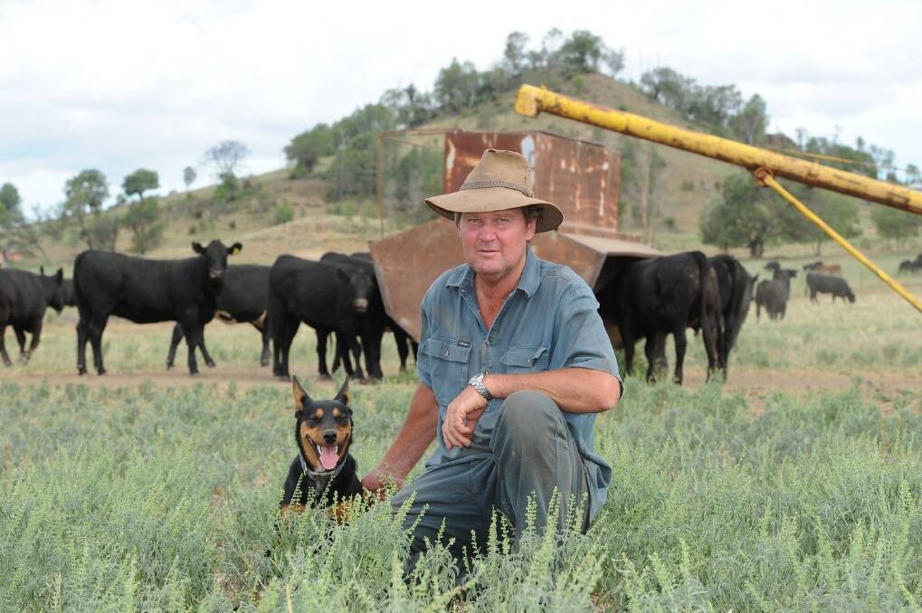 Baradine producer Greg McGlashan expected high prices to hang around, but said dry weather meant there weren't many cattle left to sell.