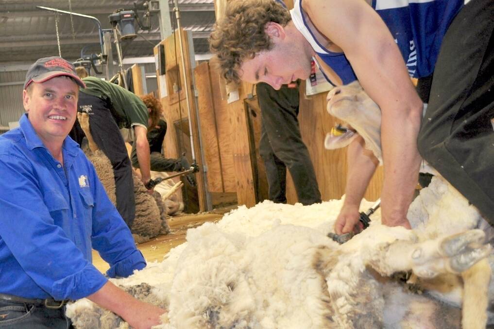 Peter Westblade Memorial Merino Challenge Convener, Craig Wilson, Wagga Wagga at the wether shearing at Wagga last week.