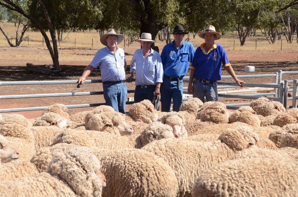 David Stuckey and flock classer, Chris Bowman, Hay, with David’s sons, Gavin and Tom of “Corella”, Condobolin, the 2015 Central Western Merino Ewe Competition winners.