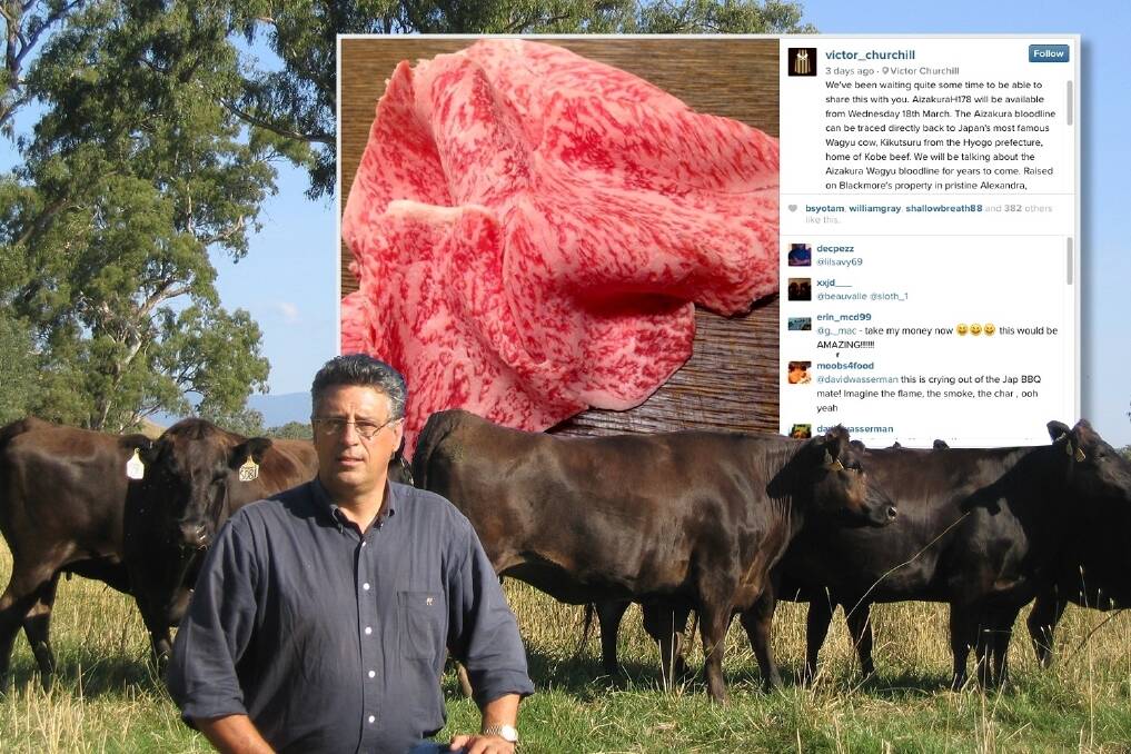 David Blackmore with his herd, and inset: the Instagram post spruiking Victor Churchill's tasty $450/kg morsel.