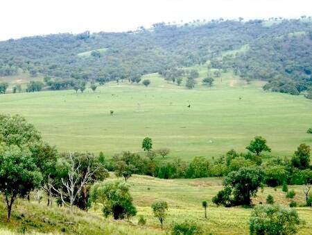 “Trevanna”, north of Inverell, covers 1884ha (6456ac) with country ranging from valleys through to grazing hills.
