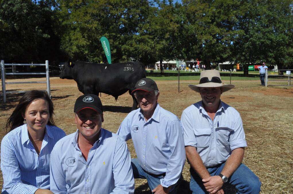 Irelands angus stud principals, Prue and Corey Ireland, Wagga Wagga, with stud adviser Willie Milne and Stewart Moroney, Holstons Pastoral, Ensay, Vic, who paid $105,000 for Irelands Jeopardy J356.