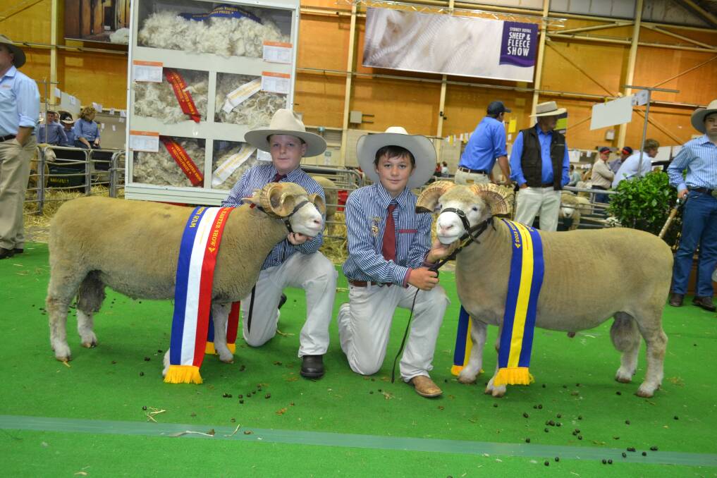 Grand champion Dorset Horn ram and reserve exhibited by Bimbadeen Park and shown by St Lawrences Primary School, Coonabarabran students Charlie Selmes, 11, Year 6 and Harry Allen, 11, also Year 6.