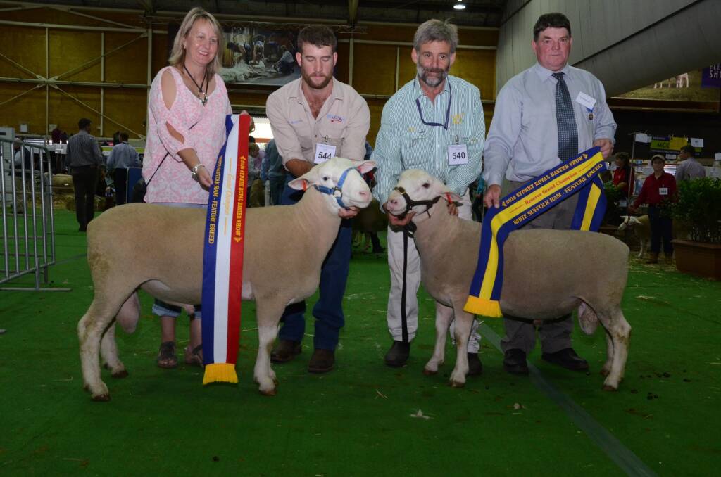Wife of the judge, Tanya Frick, Gypsum Hill stud, Padthaway, South Australia, sashes the champion White Suffolk ram, held and exhibited by Brayden Gilmore, Baringa stud, Oberon, while Bruce Stanford, Merton stud, Mudgee, holds his reserve champion ram being sashed by the judge, Andrew Frick.