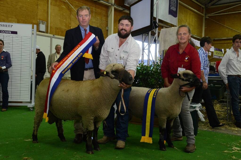 Hampshire Downs judge Wayne Whale, St Paul’s White Suffolk stud, Walla Walla, sashes the champion Hampshire Downs ram, held and exhibited by Matthew Sherwood, Wollondale stud, Goulburn, while Helen Raven, Jurabula stud, Henty holds her reserve champion ram.