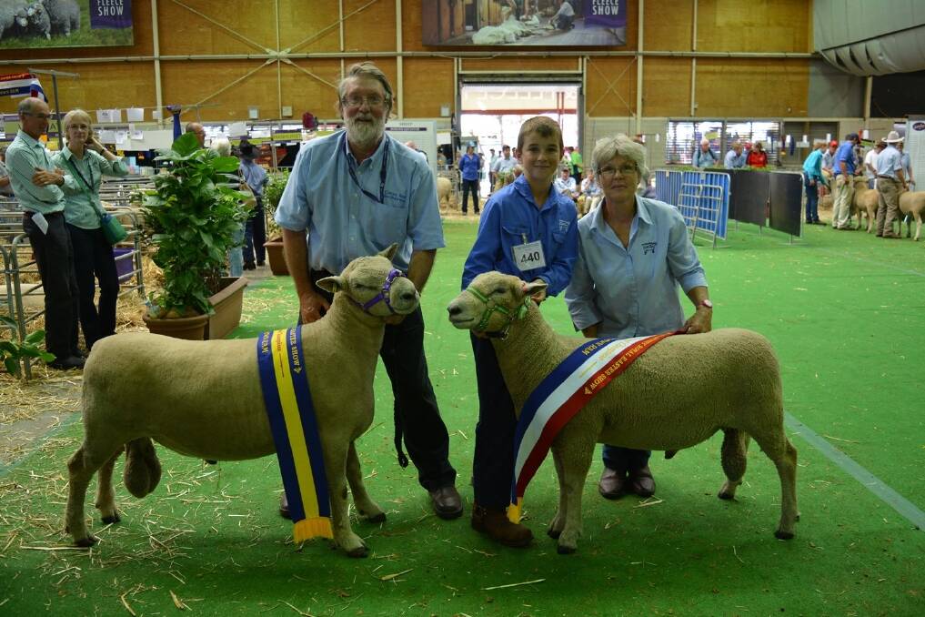 West-Ray stud principal, Jake Webster, 11, Bathurst, holds his 2015 Sydney Royal grand champion and reserve Southdown rams, with grand parents, Ross and Jeanette Wilson, Cotties Run stud, Bathurst.
