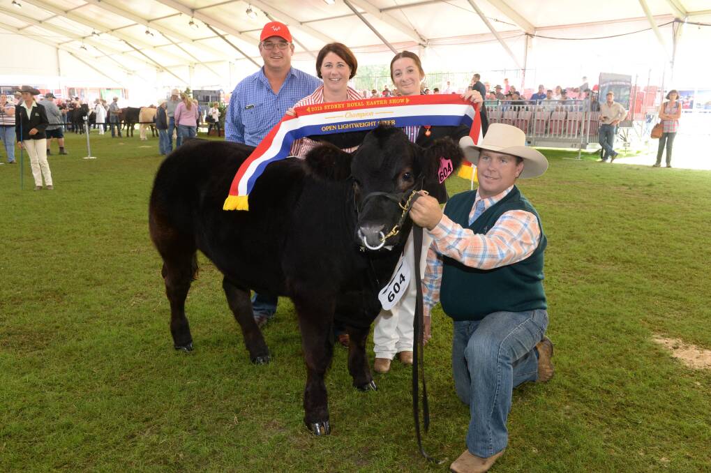 Grand champion steer with Jeremy and Philippa Walsh, Dubbo, steward Katie Robets-Batty, Denman, and handler Nigel Wieck, Delungra.