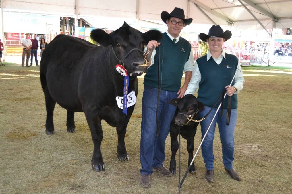 The best Limousin exhibit was the senior and grand champion female Flemington Courtenay F18, exhibited by Myers Limousins, Moss Vale. Pictured with the female are exhibitors Scott Myers and Samantha Beresford. 