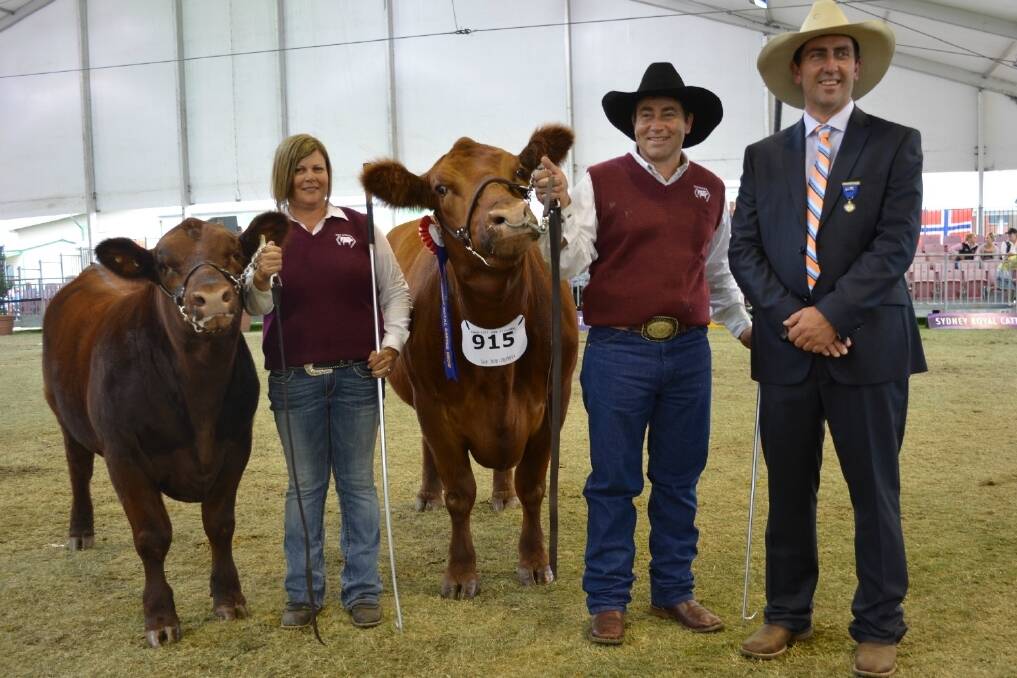 Kirrily and Gavin Iseppi, GK Livestock, Dalby, Queensland, hold their best Red Angus exhibit and are pictured with judge Gavin O'Brien, Winchester Charolais, Orange. 