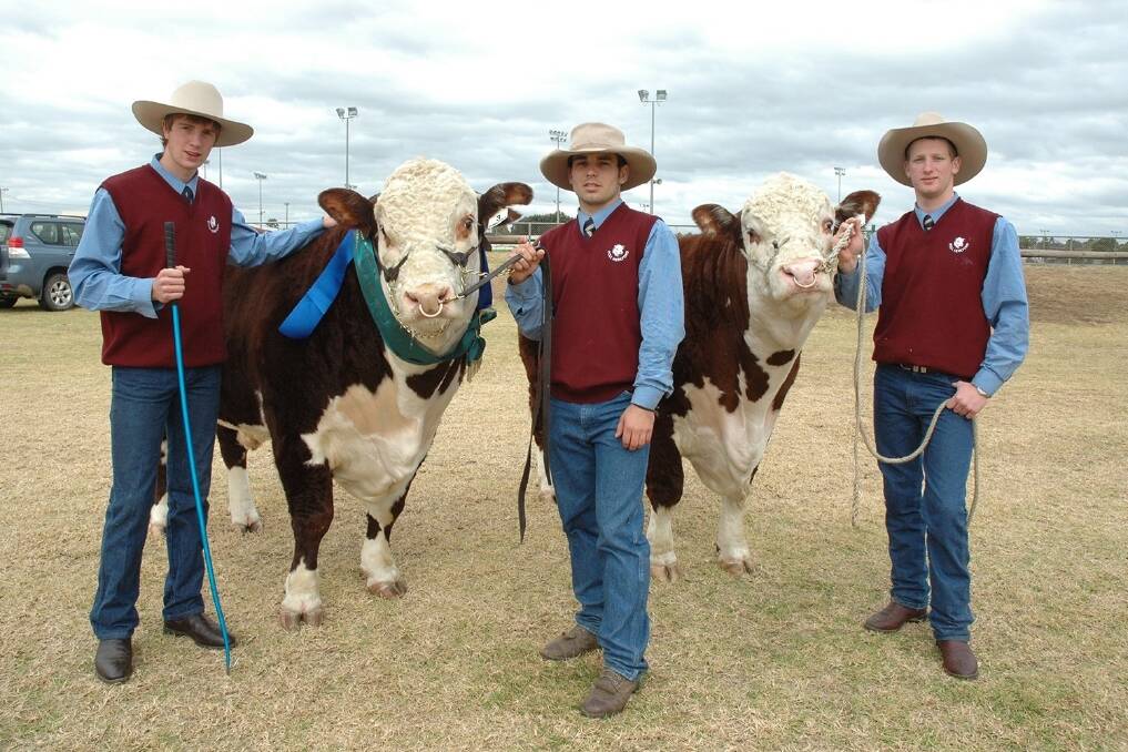 TAS boys with bulls at the Dubbo Poll Hereford National show and sale in 2011.