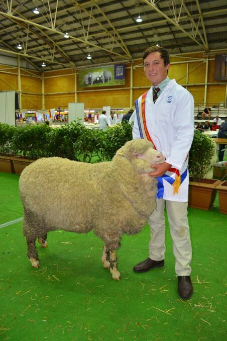 Queensland's Charlie Brumpton wins the National Merino Sheep Young Judges Championship.