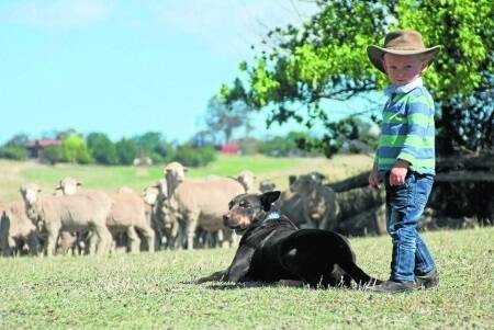 Les Wright is glad he offloaded ewes and wethers while the mutton price was on a high. Mr Wright's grandson Charlie is pictured with Bob the Kelpie.