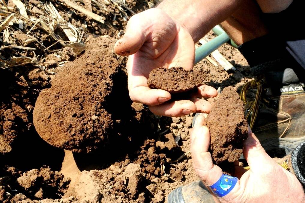 Farmers dig soil health program
