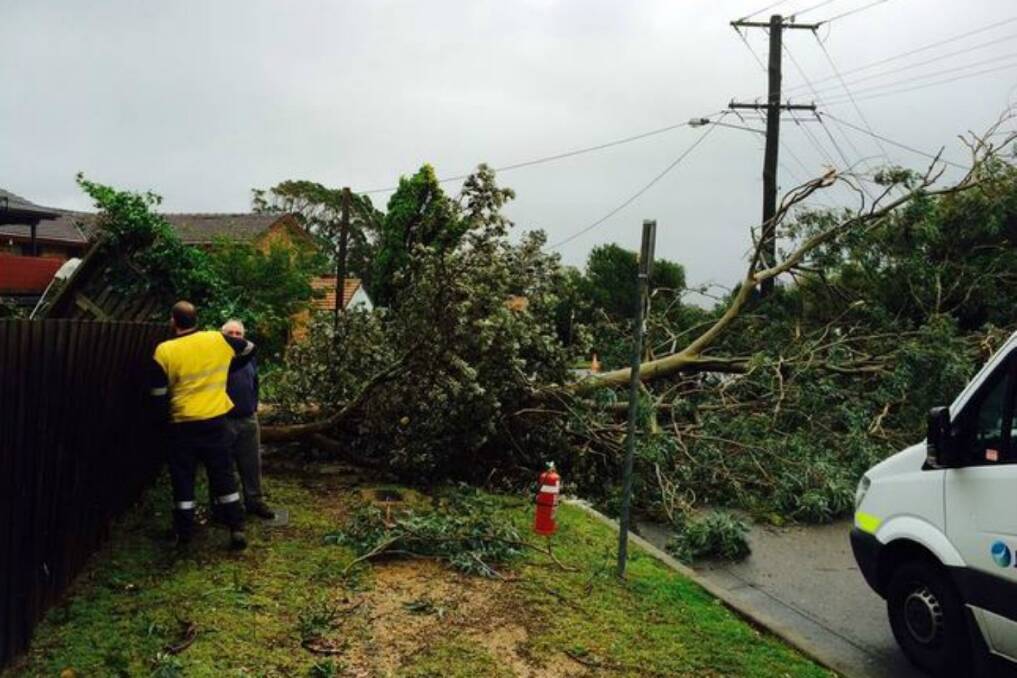 Wild weather claims lives, wreaks havoc in NSW