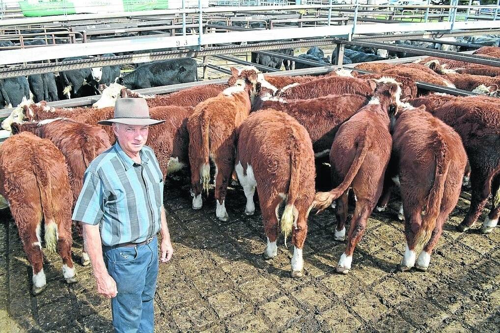 Martin Croker, “Glenco”, Binda, sold 16 Hereford weaner steers to a top of $815 at the Goulburn weaner sale last Thursday. Mr Croker said it was $300 more than last year’s sale.